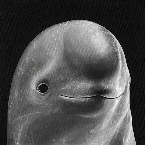 "In the Belly of the Beast" – moki bei Feinkunst Krüger, Hamburg